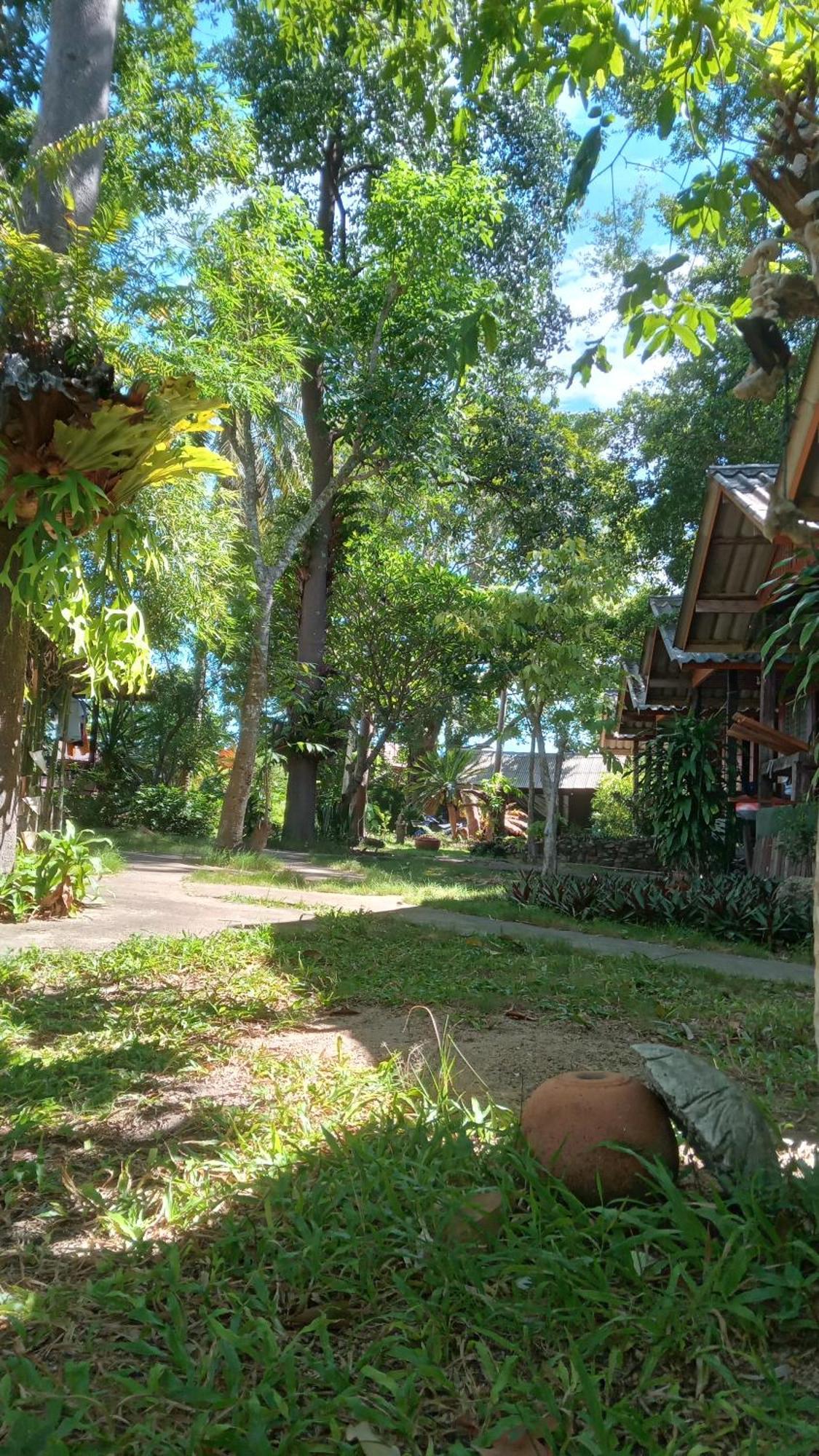 Bamboo Bungalow - Thong Nai Pan Yai Eksteriør billede